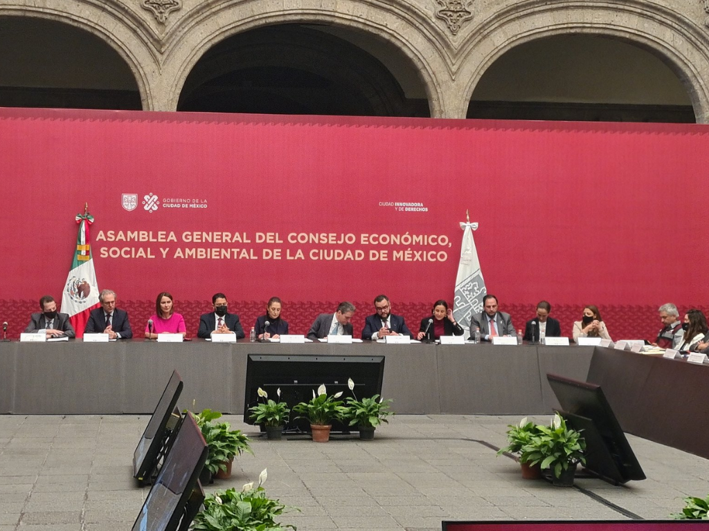 Asamblea General del Consejo Económico, Social y Ambiental